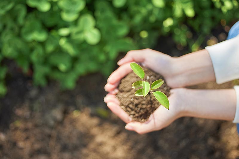 威客电竞·(中国)VKGAME官网入口