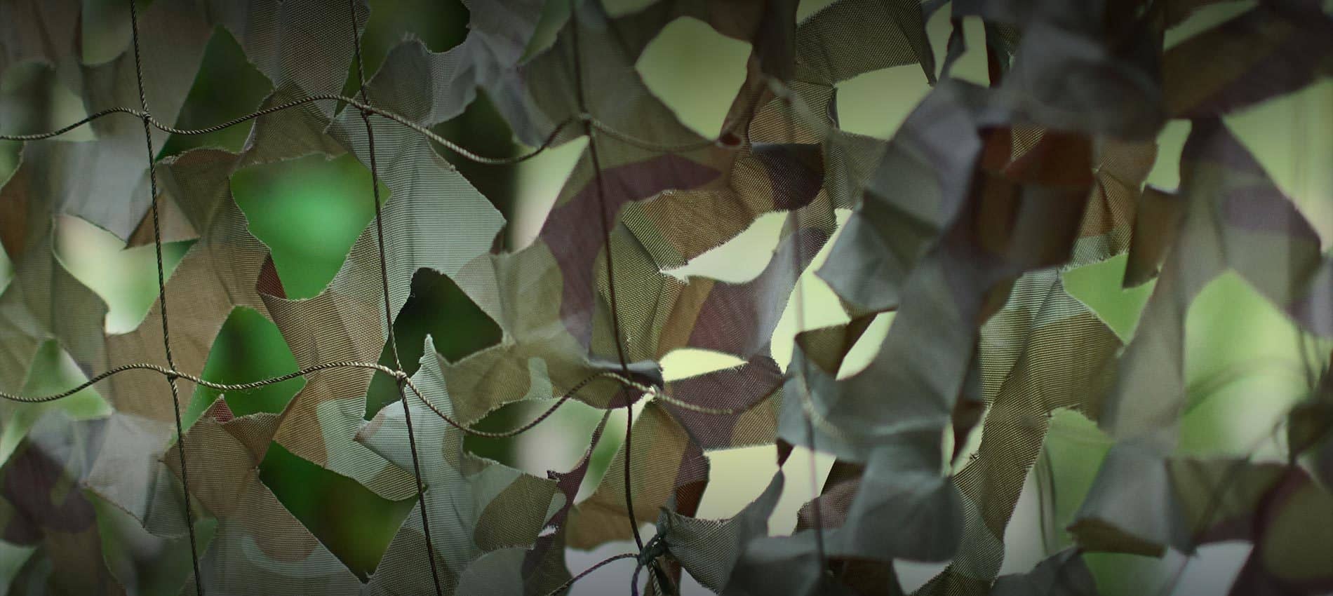 威客电竞·(中国)VKGAME官网入口